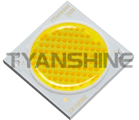 金年会(中国游)官方网站