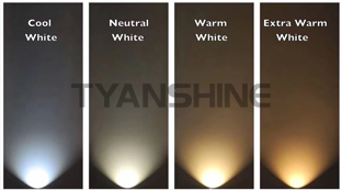 金年会(中国游)官方网站