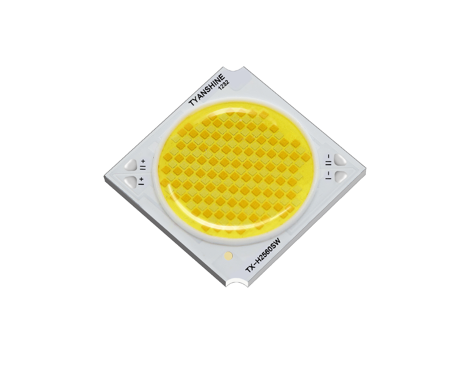 金年会(中国游)官方网站