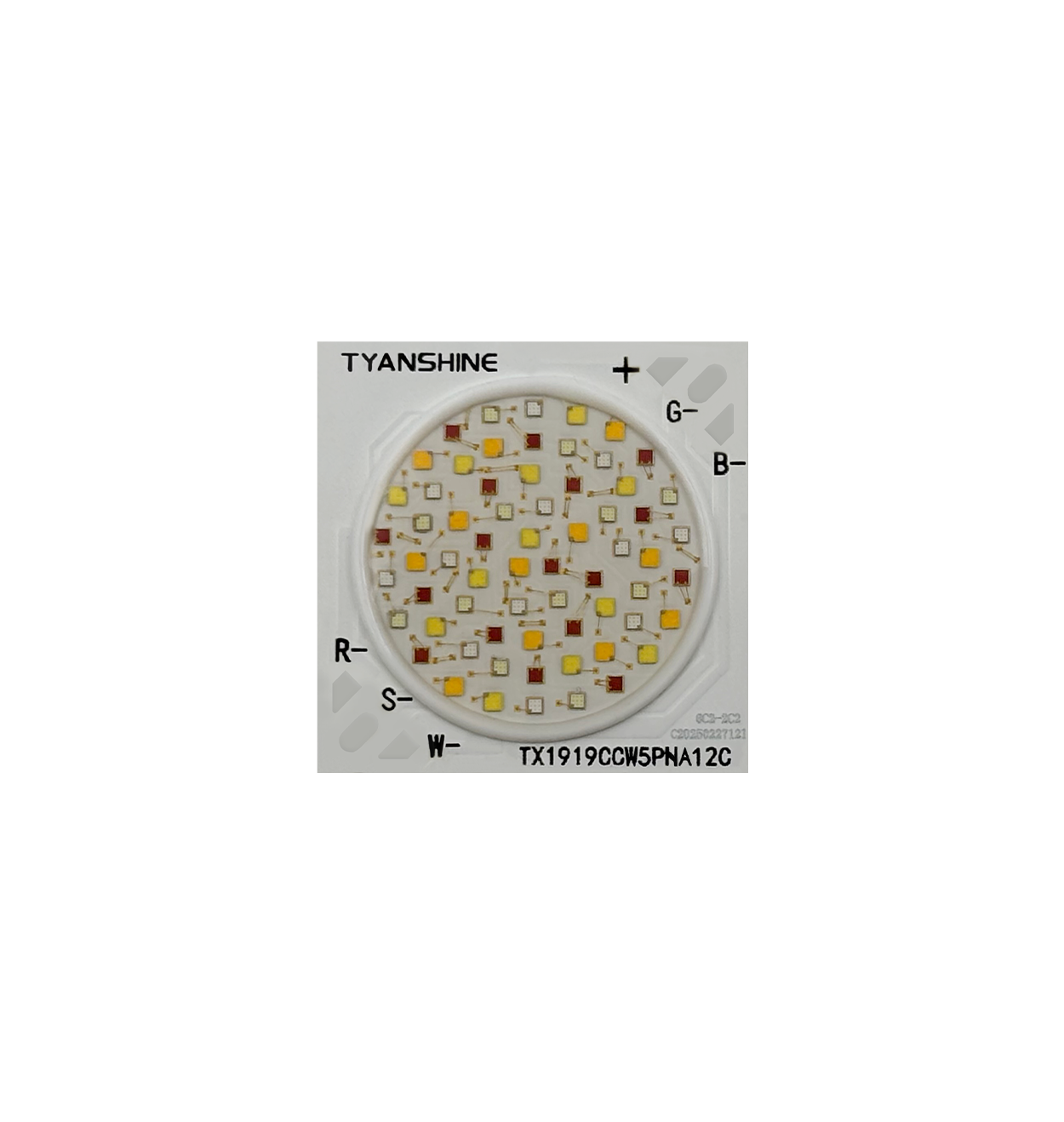 金年会(中国游)官方网站