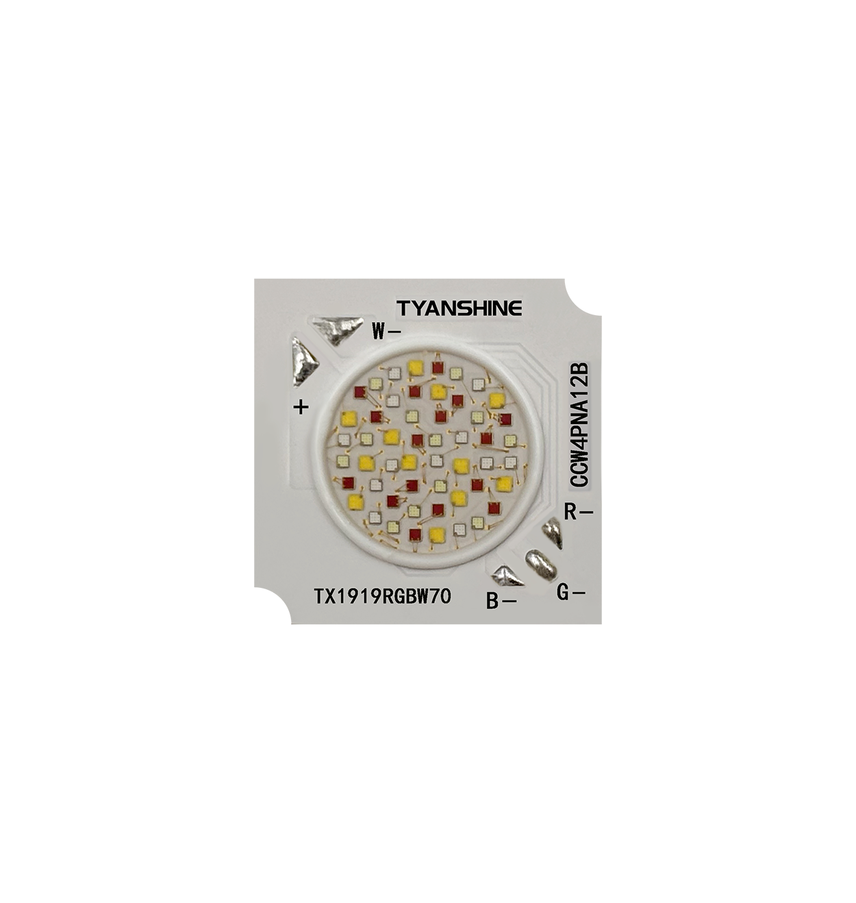 金年会(中国游)官方网站