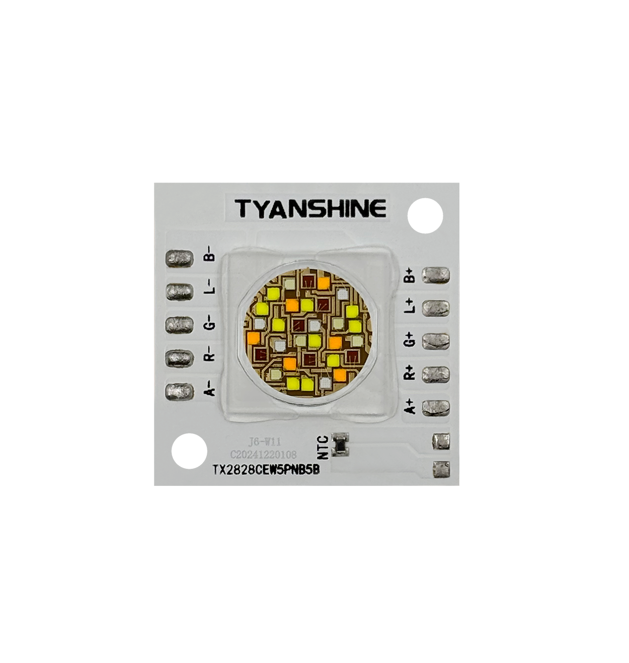 金年会(中国游)官方网站