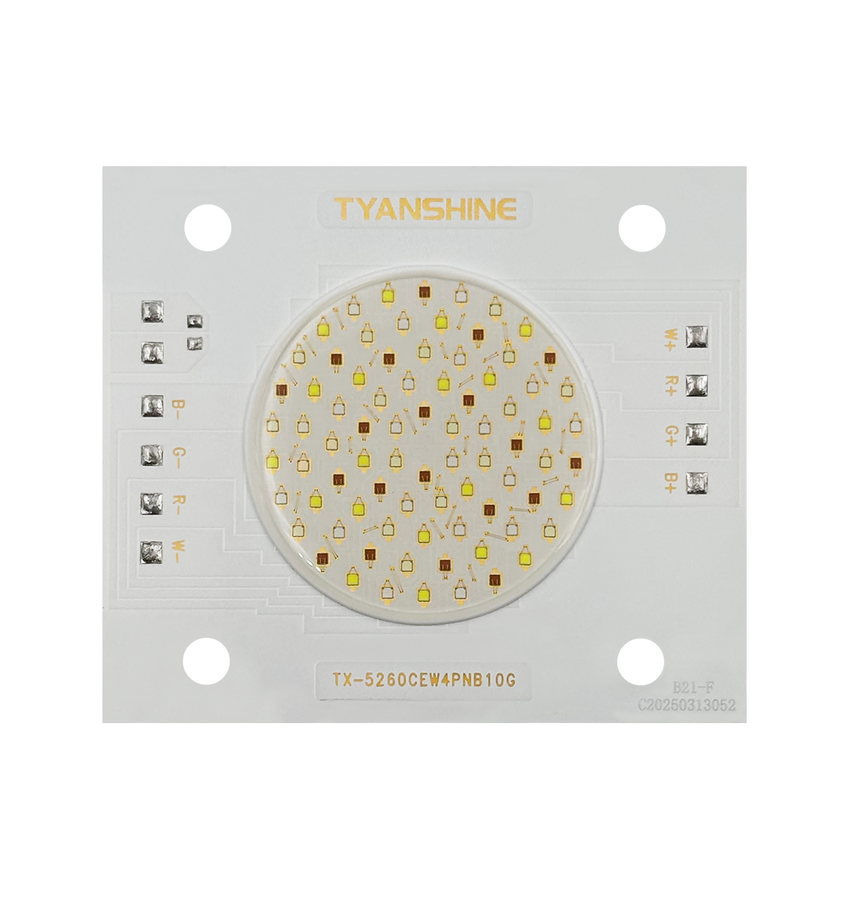 金年会(中国游)官方网站